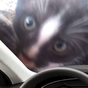 Meet your Posher, Christopher